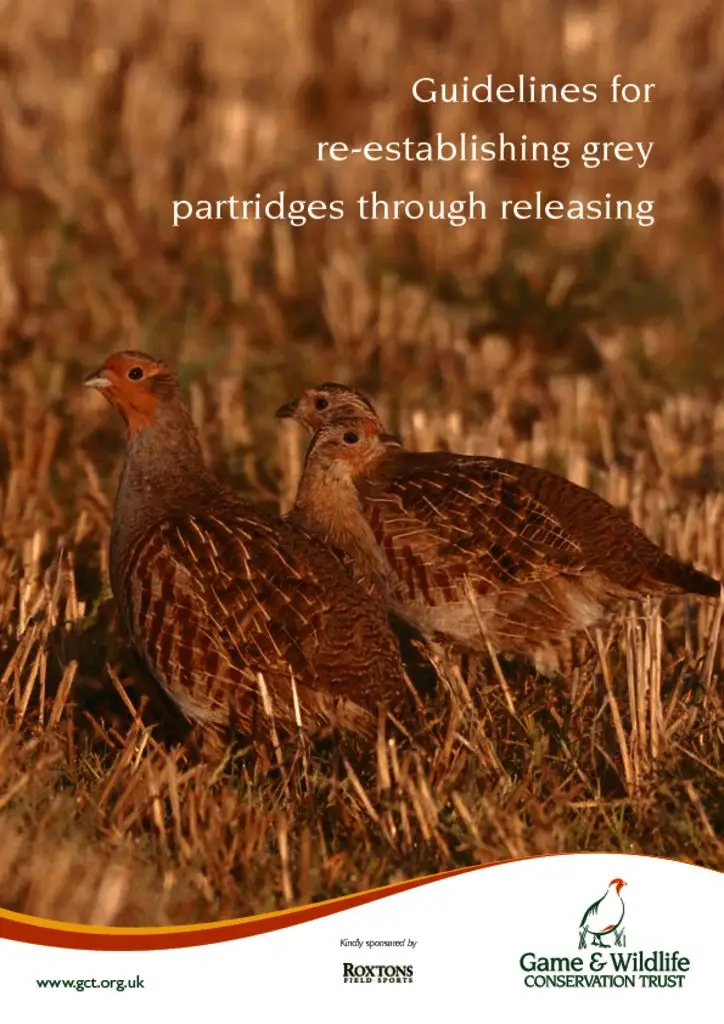 Cover of Guidelines for Re-establishing Grey Partridges Through Releasing