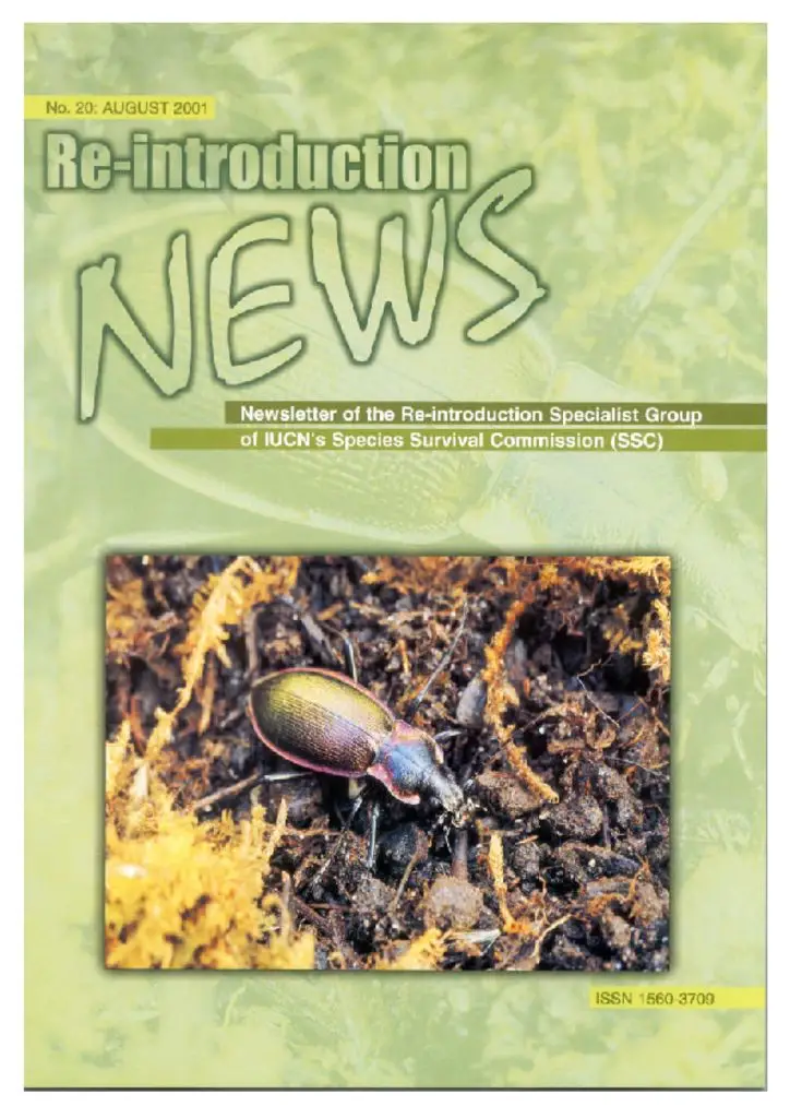 Cover of Re-introduction News August 2001