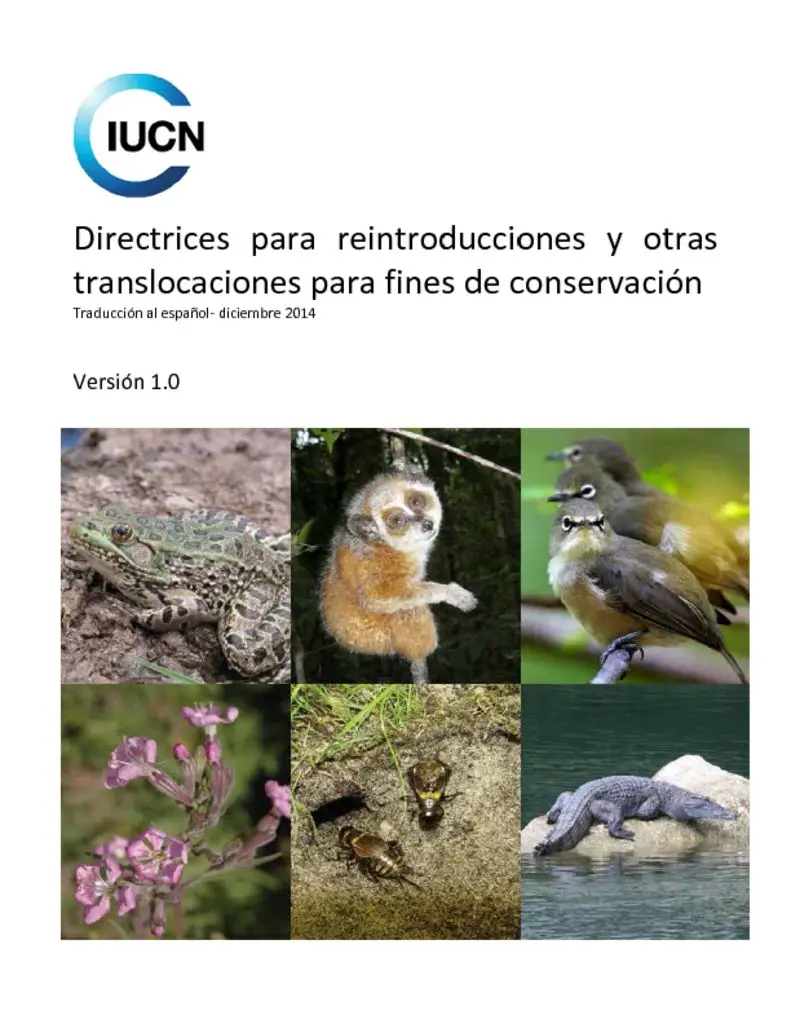 Cover of Guidelines for Reintroductions and Other Conservation Translocations – Spanish